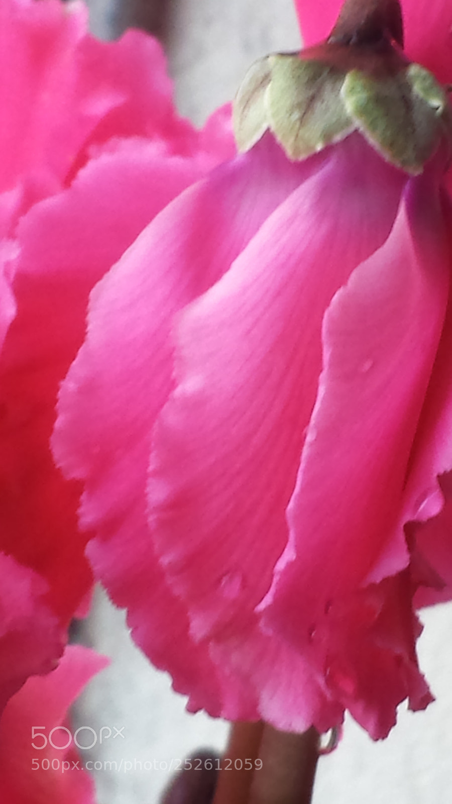 Samsung Galaxy S4 sample photo. Untitled photography