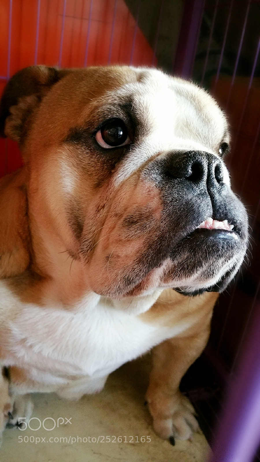 Samsung Galaxy Note4 sample photo. Untitled photography