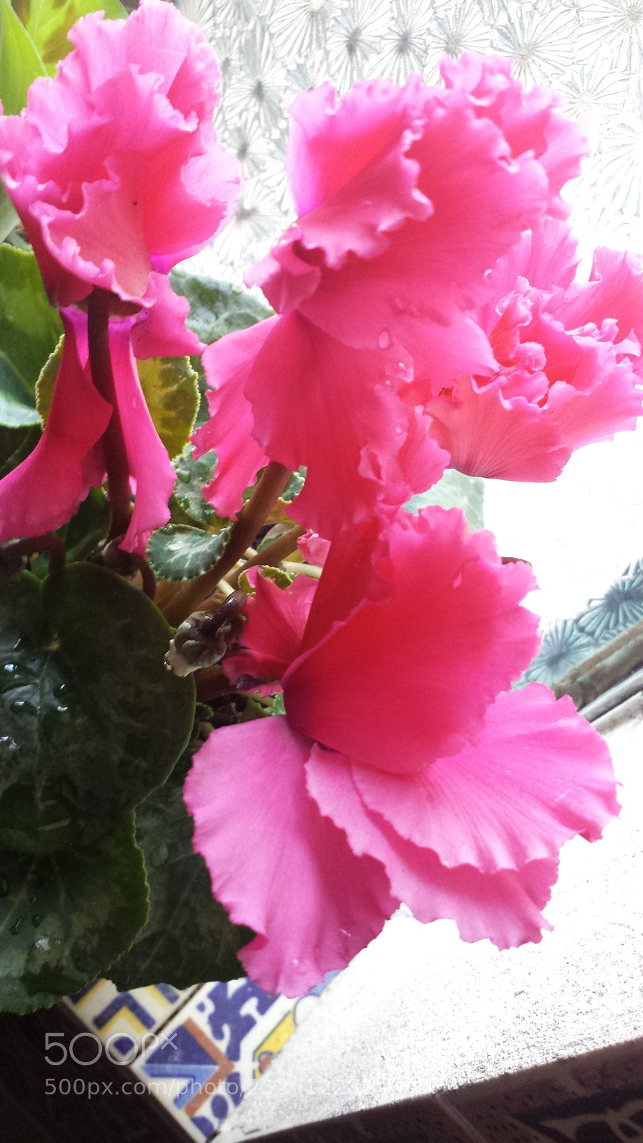 Samsung Galaxy S4 sample photo. Untitled photography