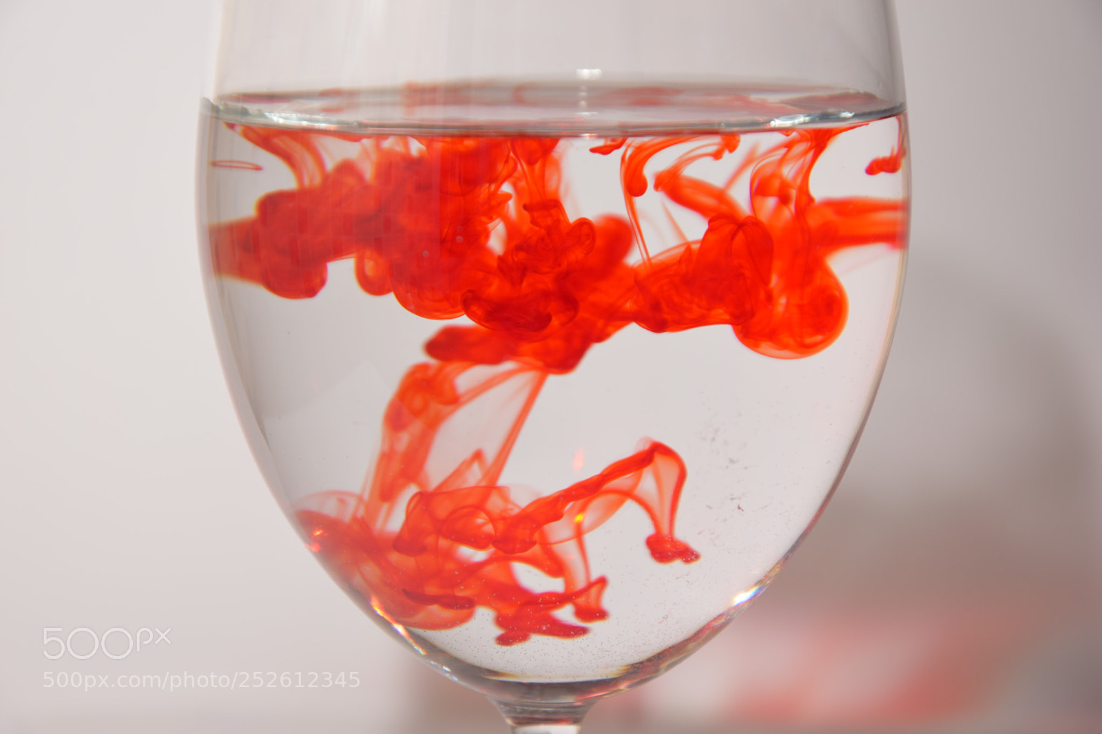 Nikon D3300 sample photo. Red photography