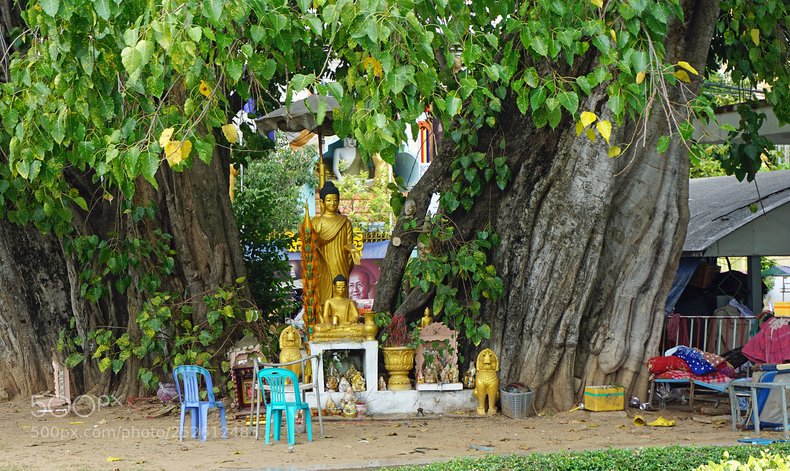 Sony a6000 sample photo. Phnom penh temple photography
