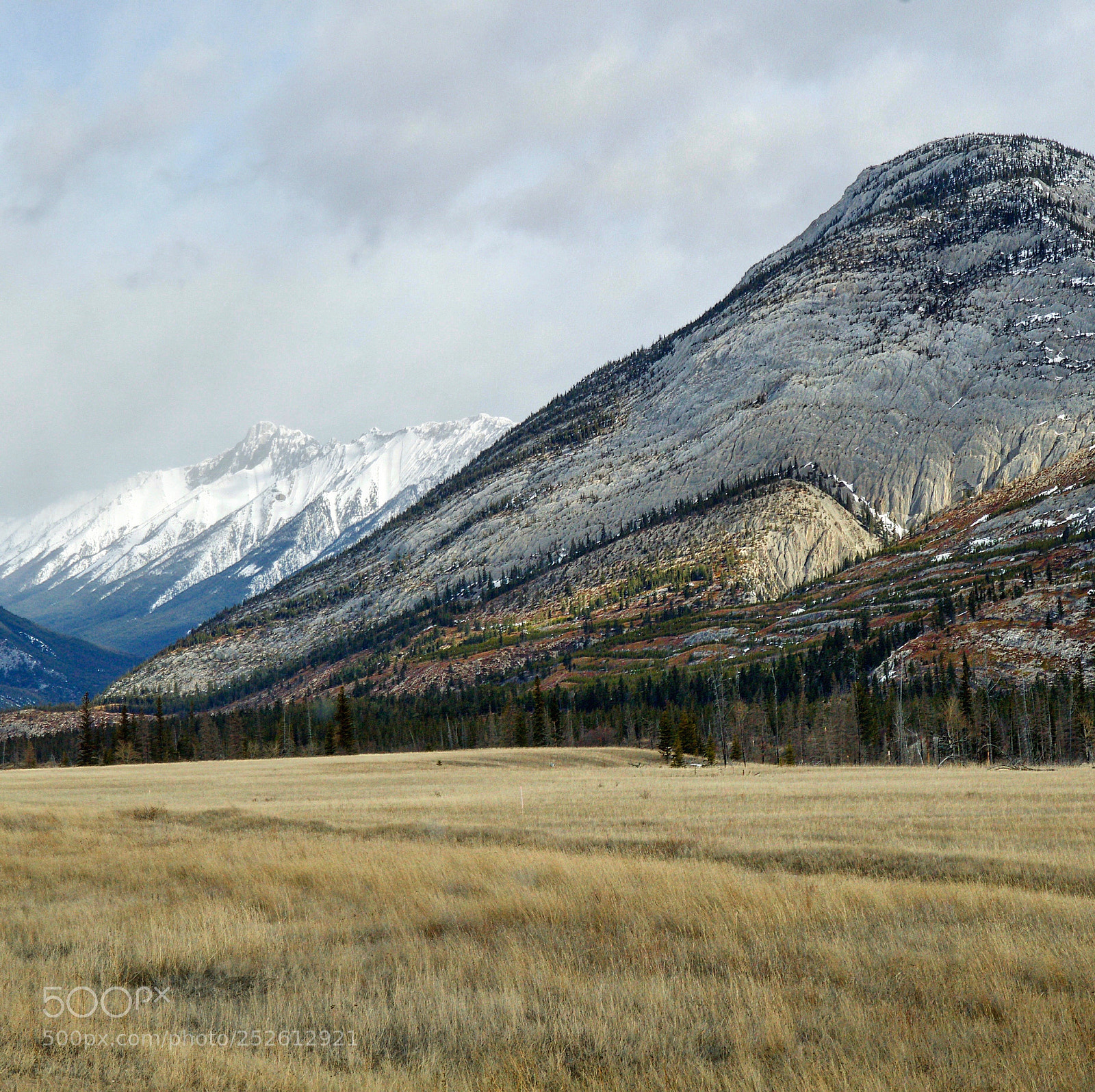 Nikon D500 sample photo. Mountains and marian  photography