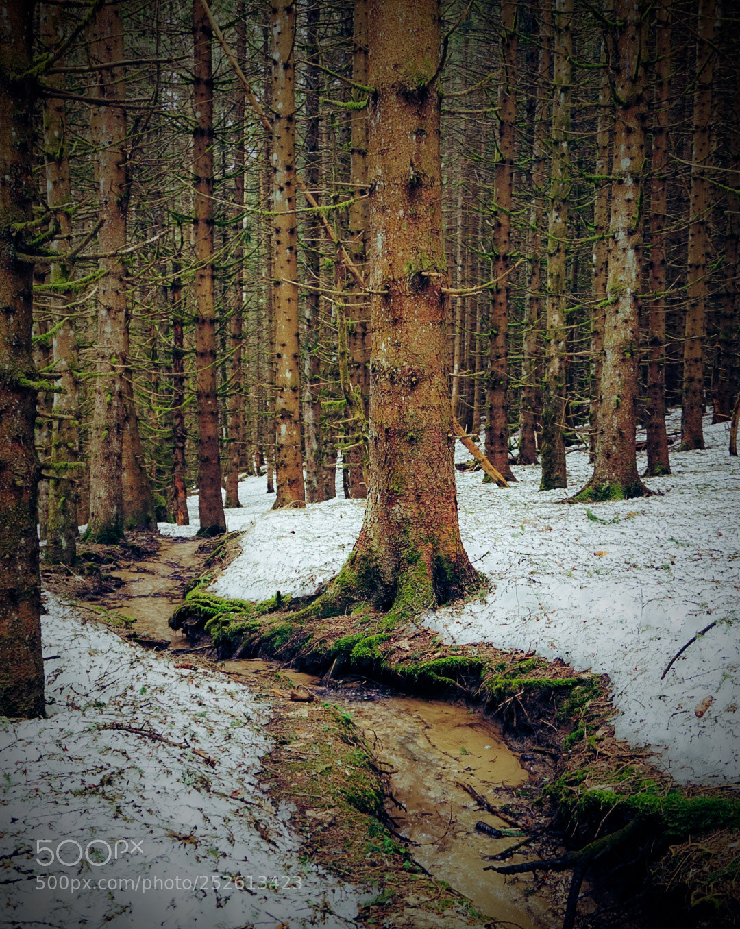 Sony a6000 sample photo. Petit ruisseau photography