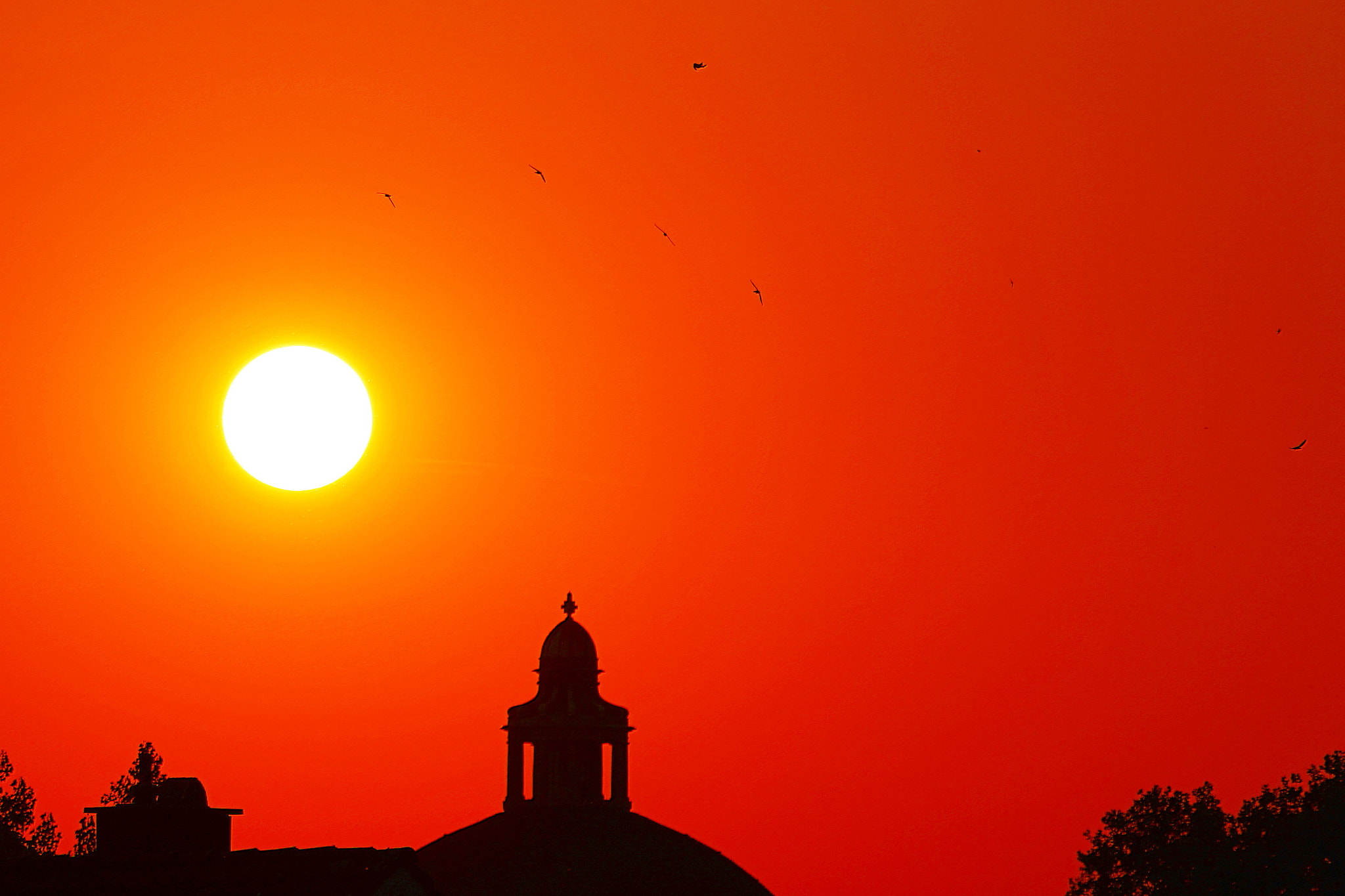 Sony FE 70-200mm F4 G OSS sample photo. Martlets flight at sunset photography