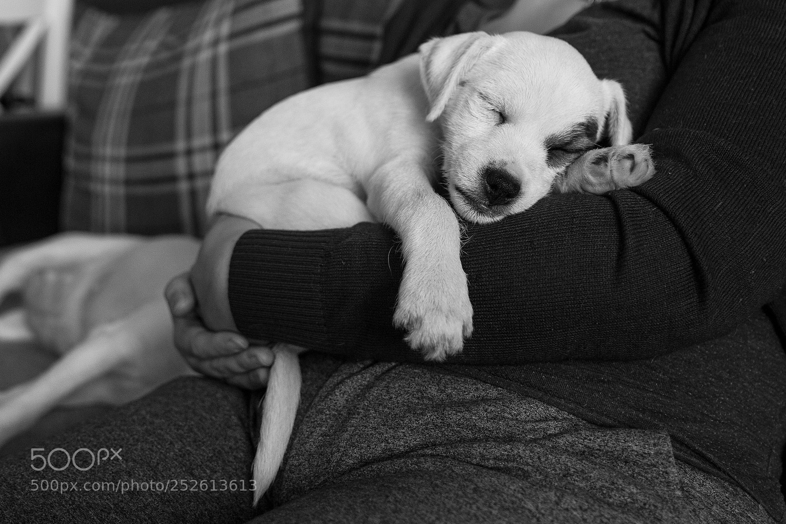 Canon EOS 70D sample photo. Nap photography