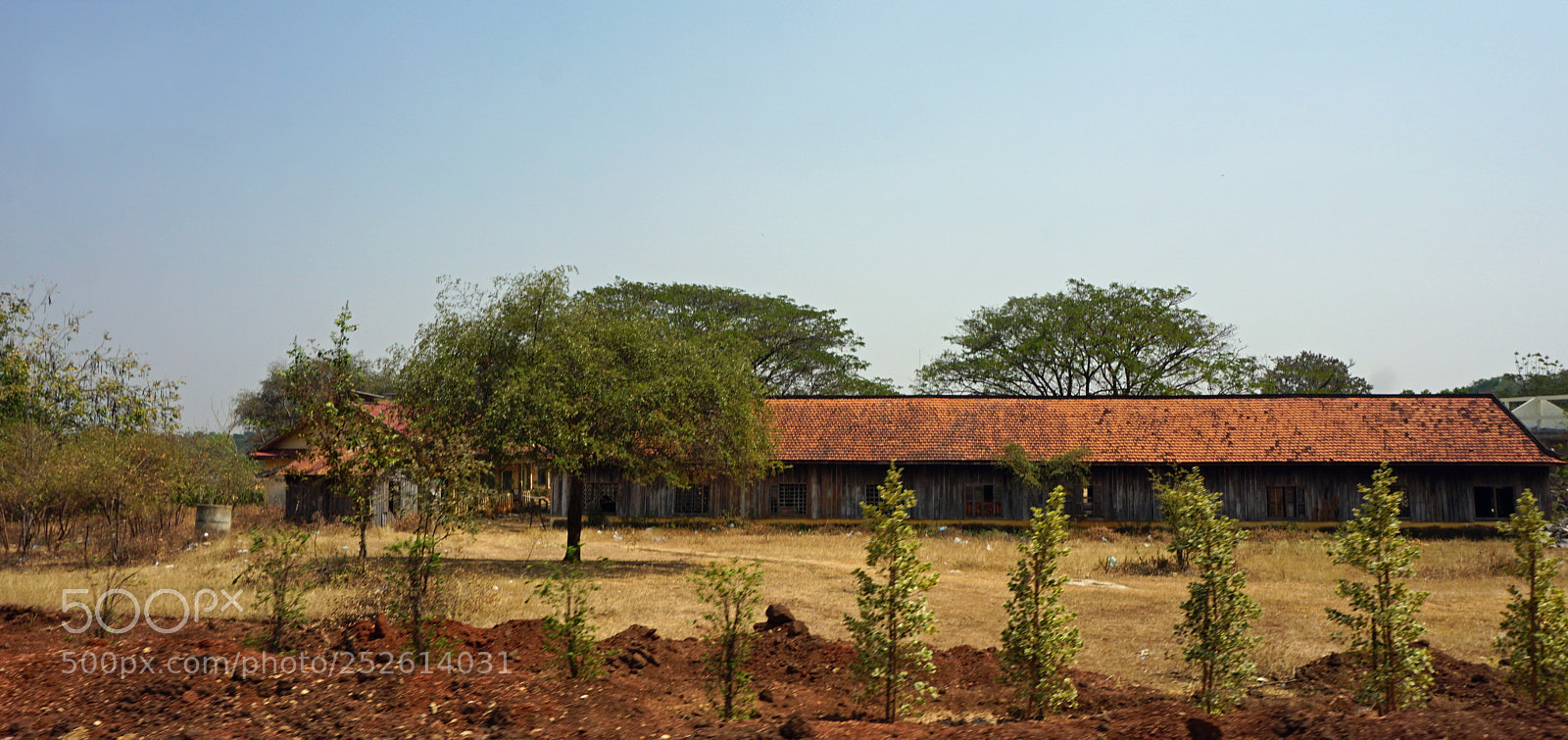Sony a6000 sample photo. Battambang bamboo train photography
