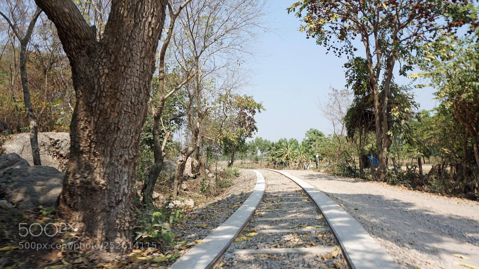 Sony a6000 sample photo. Battambang bamboo train photography