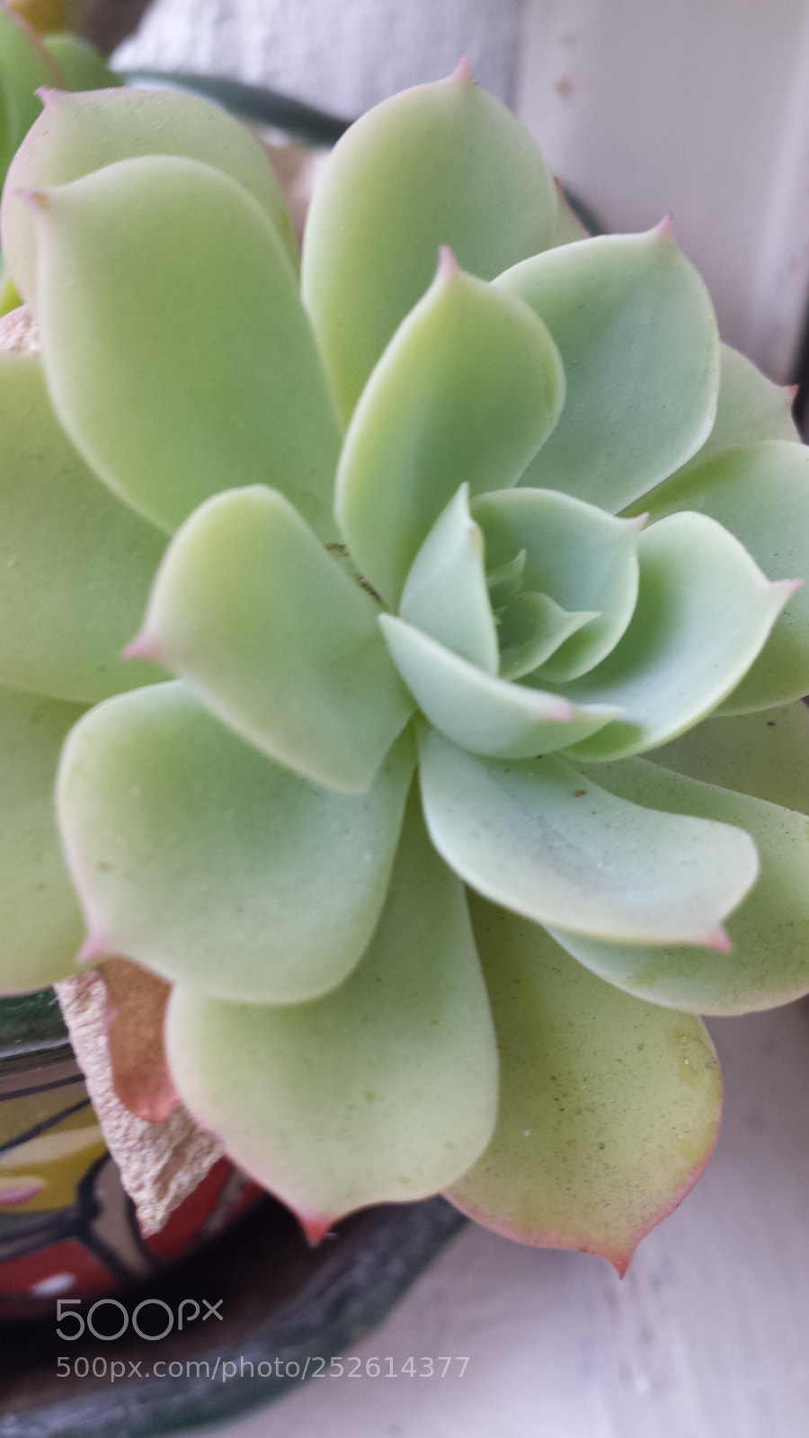 Samsung Galaxy S4 sample photo. Untitled photography