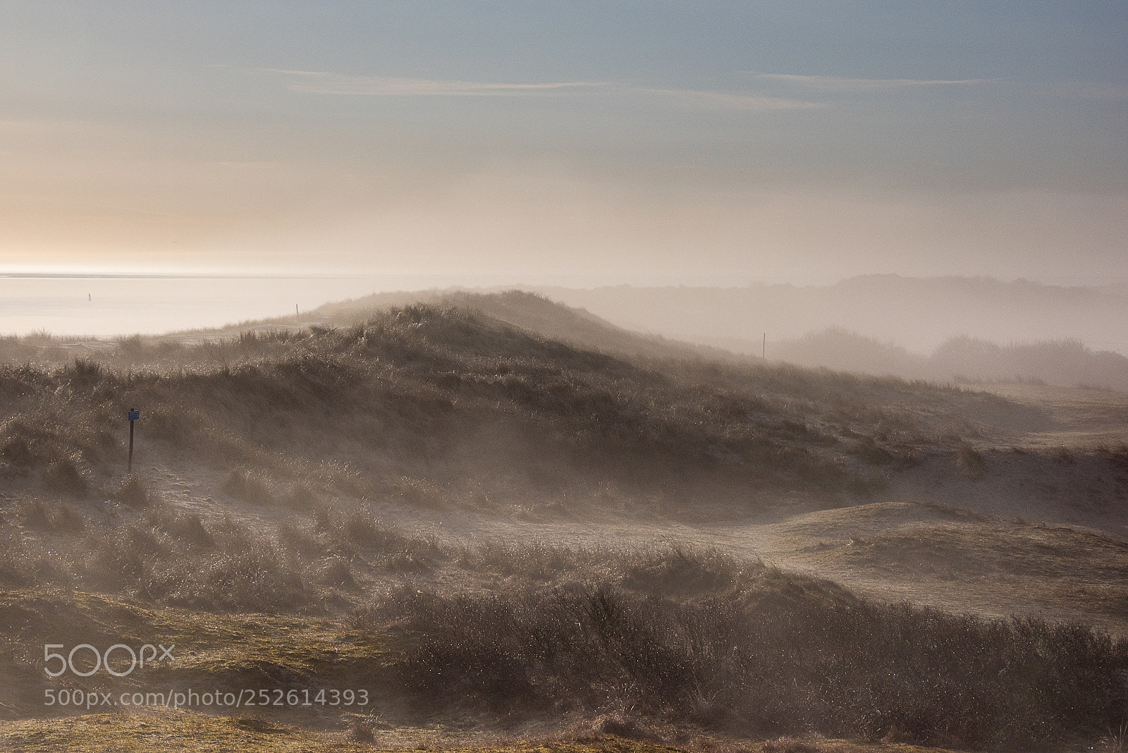 Nikon D810 sample photo. Dunes at sunrise photography