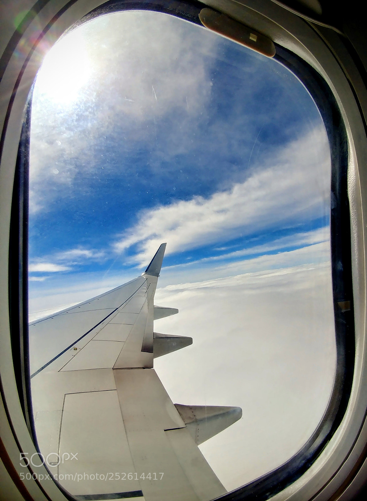 LG V20 sample photo. Flying high photography