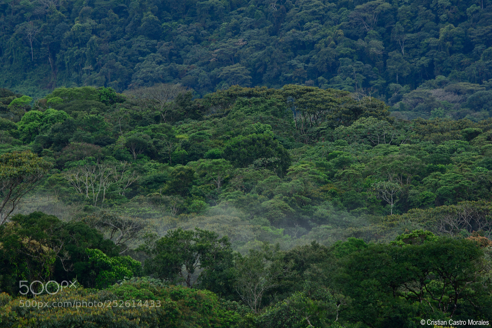 Nikon D7100 sample photo. The hidden island natural photography