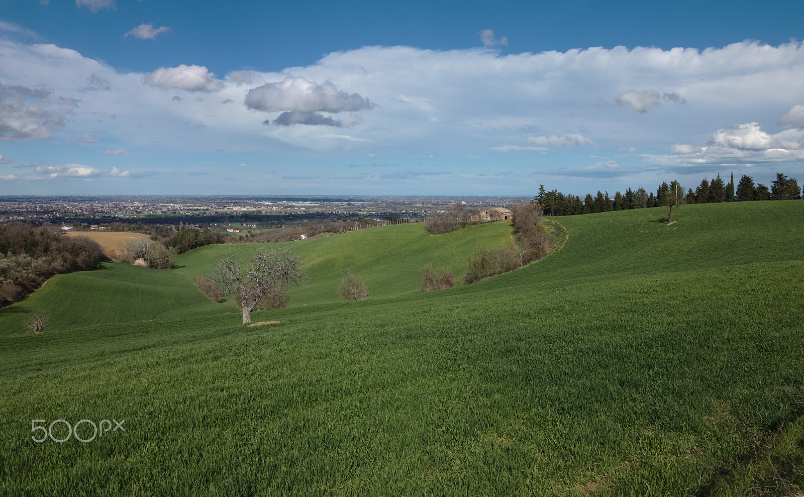 Canon EOS 70D sample photo. Verdi campi photography
