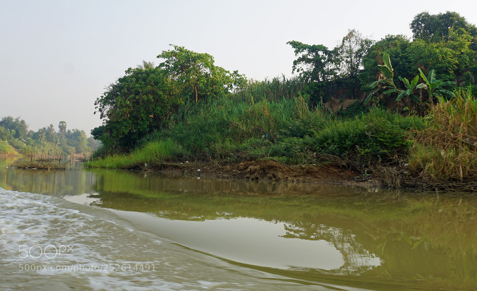 Sony a6000 sample photo. Wild tonle sap photography