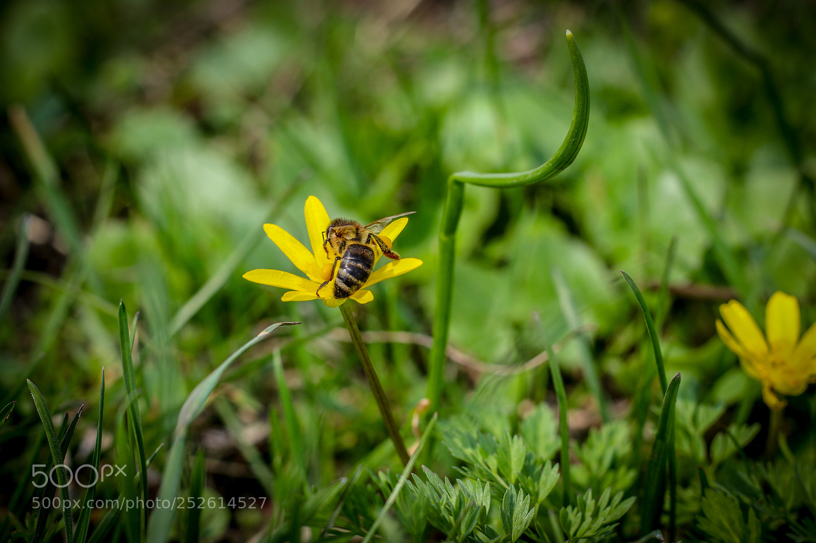 Canon EOS 70D sample photo. Untitled photography