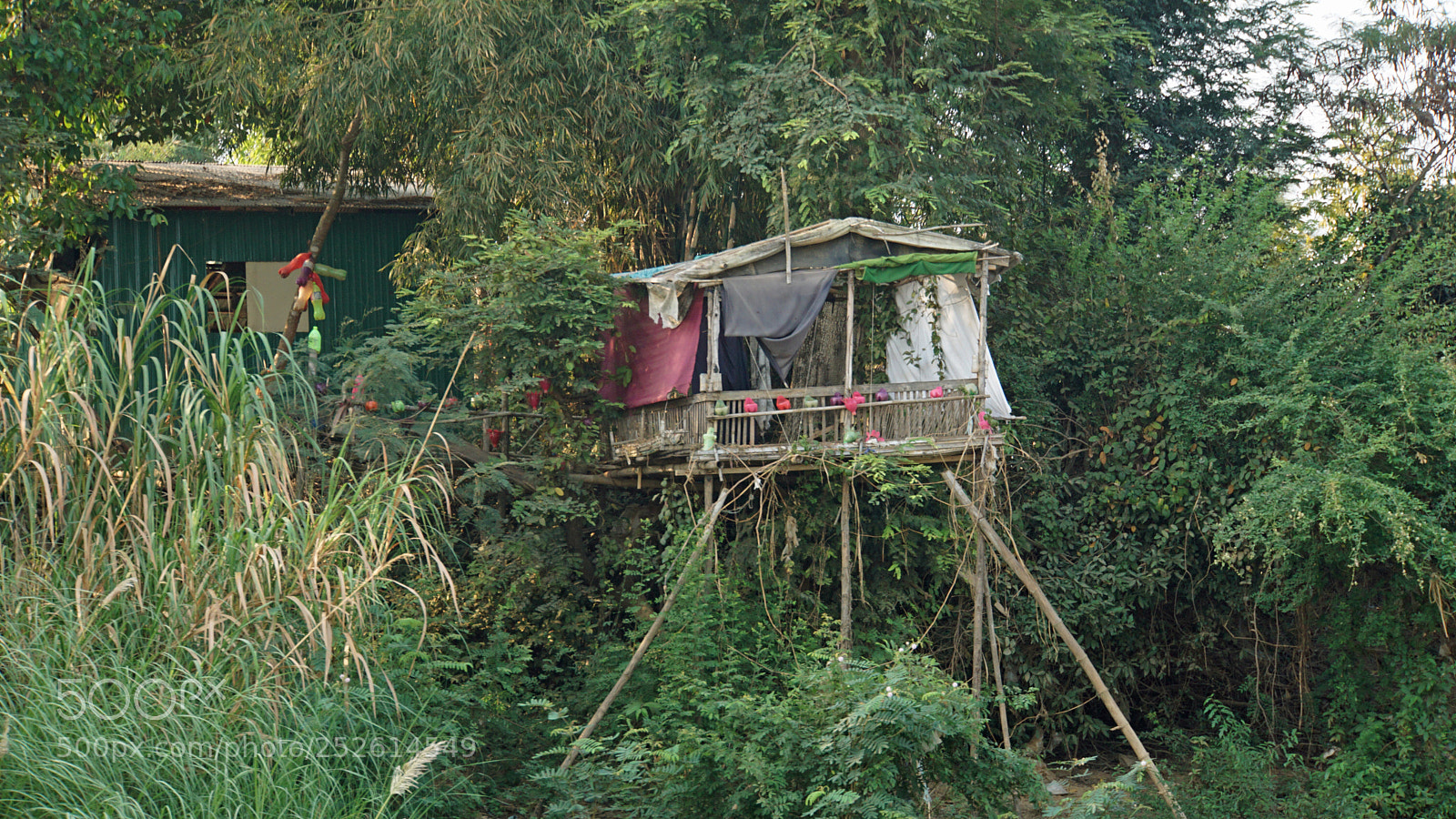 Sony a6000 sample photo. Tonle sap fishervillage photography