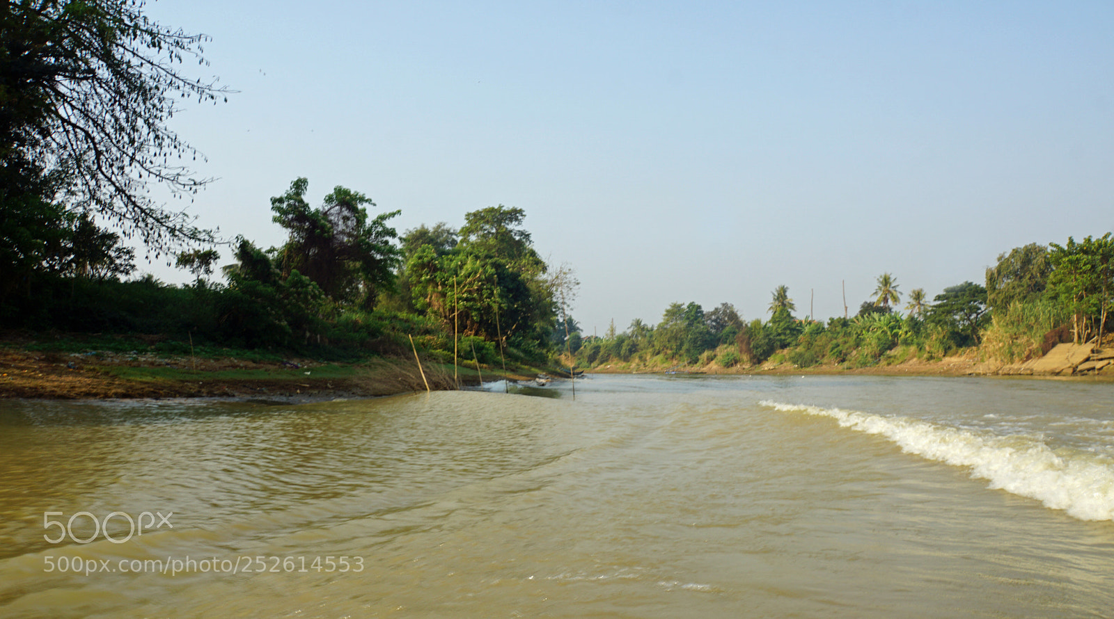 Sony a6000 sample photo. Wild tonle sap photography