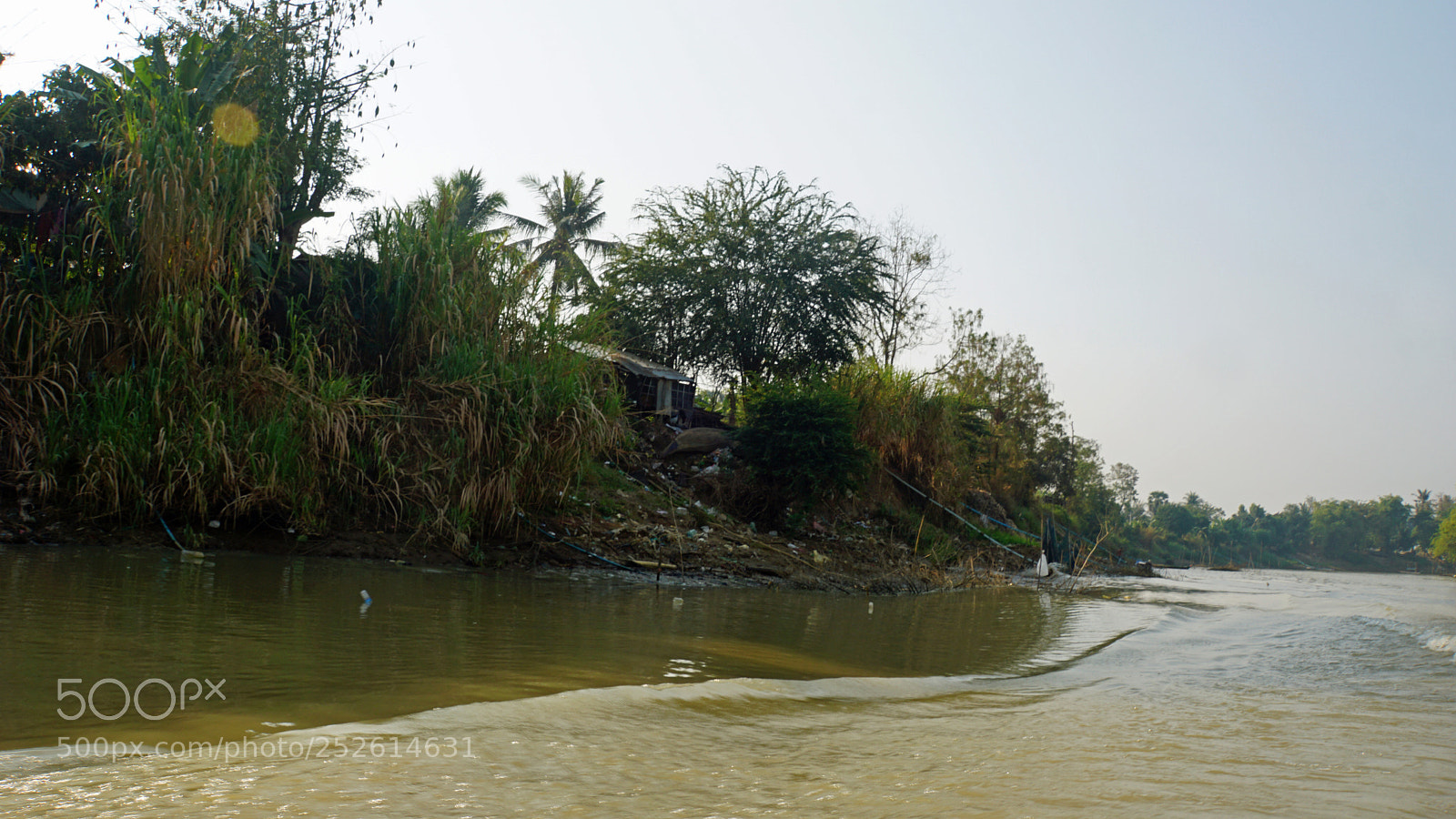 Sony a6000 sample photo. Wild tonle sap photography