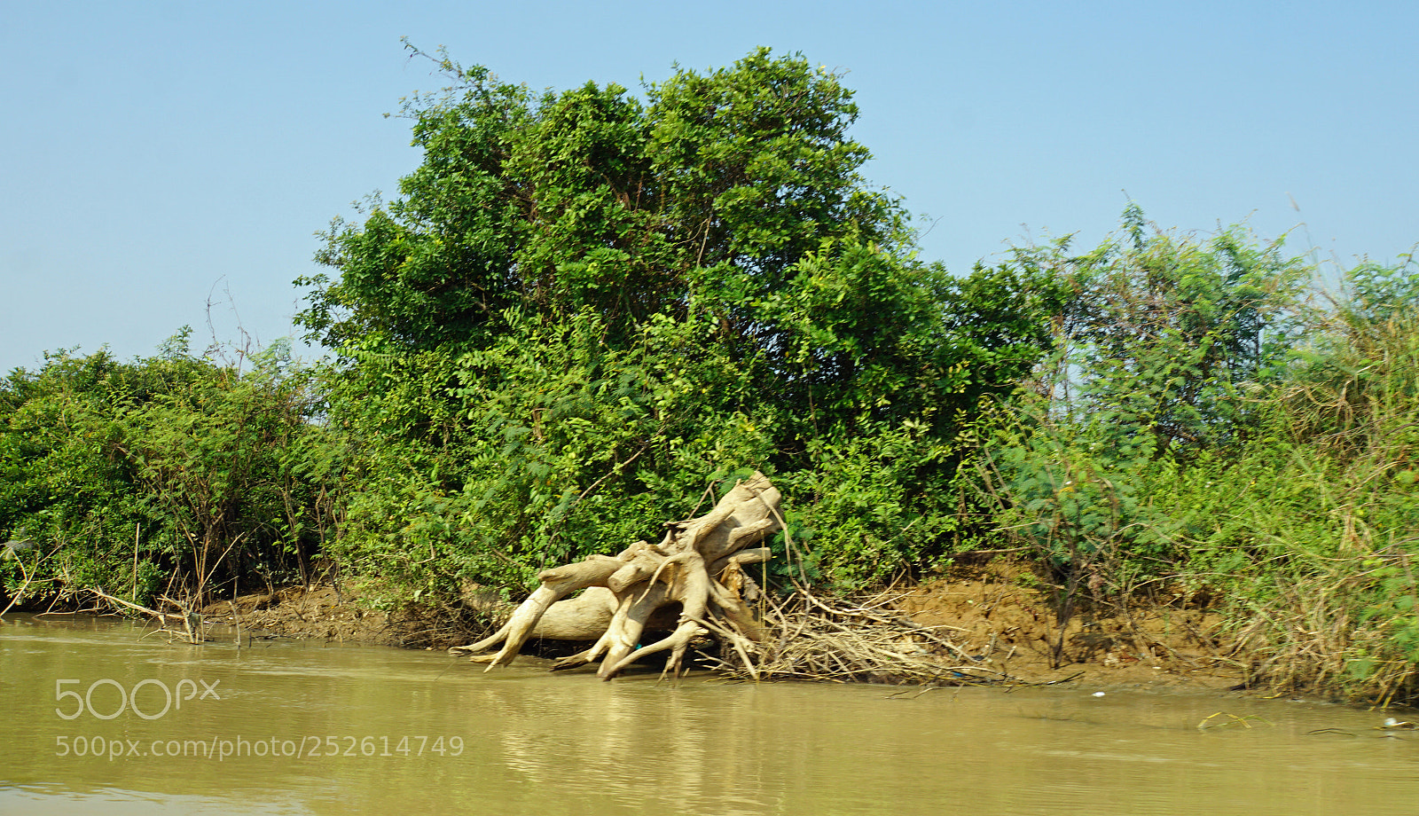 Sony a6000 sample photo. Wild tonle sap photography