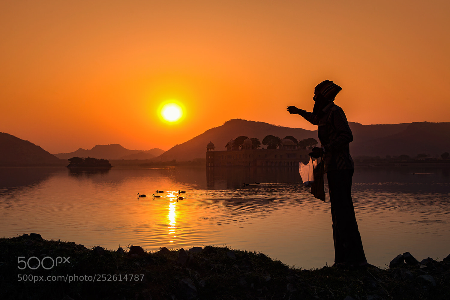 Canon EOS-1D X sample photo. Feeding on the river photography