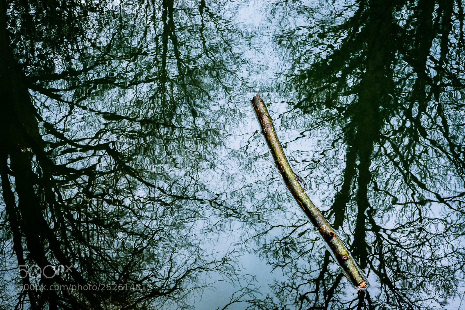 Fujifilm X-Pro2 sample photo. Sticky reflection photography