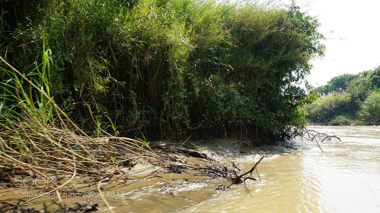 Sony a6000 sample photo. Wild tonle sap photography