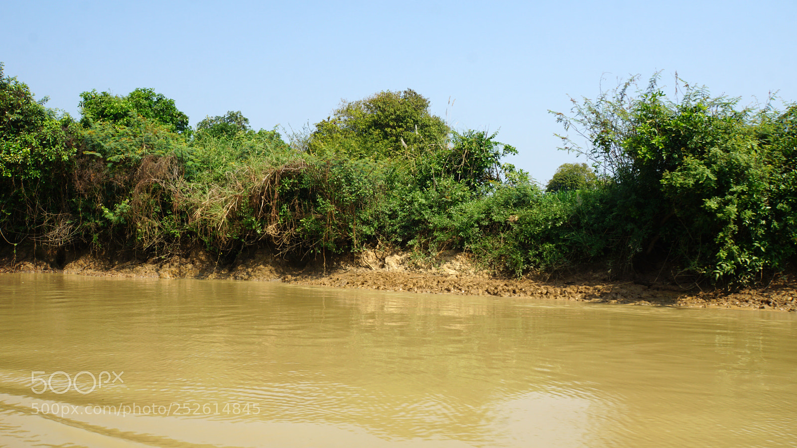 Sony a6000 sample photo. Wild tonle sap photography