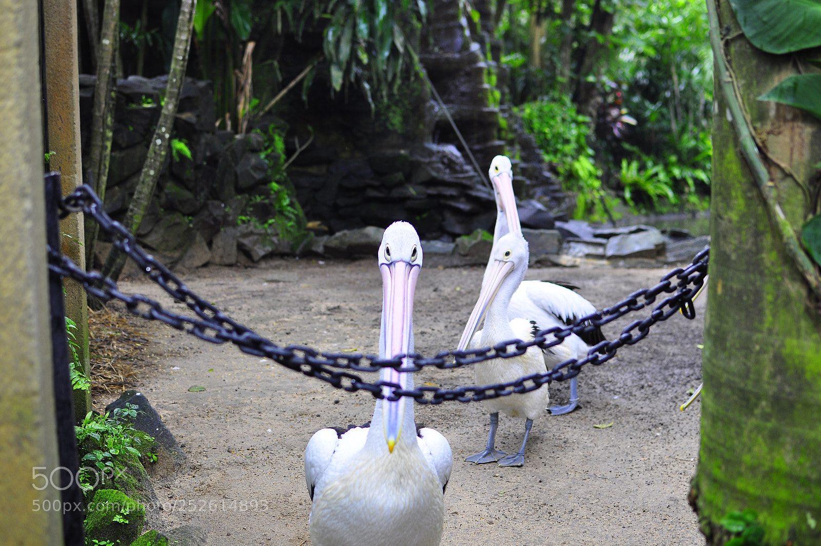 Nikon D90 sample photo. Untitled photography