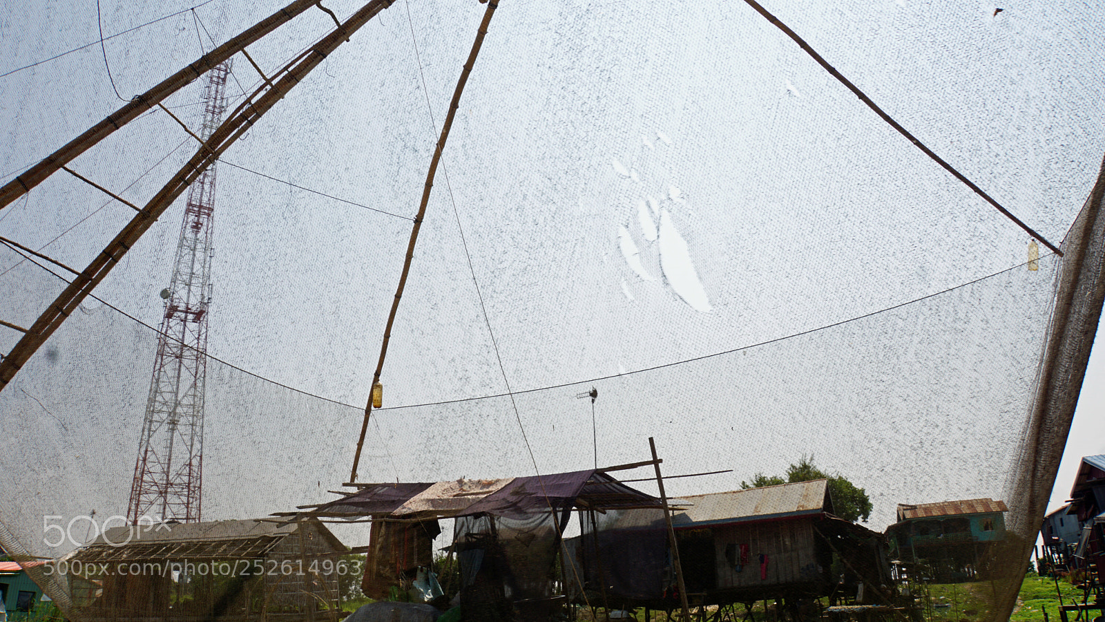 Sony a6000 sample photo. Tonle sap shrimp farms photography