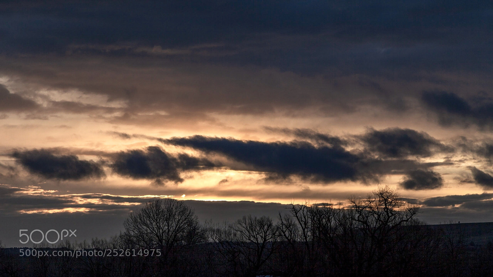 Canon EOS 5D Mark II sample photo. Golden dawn photography