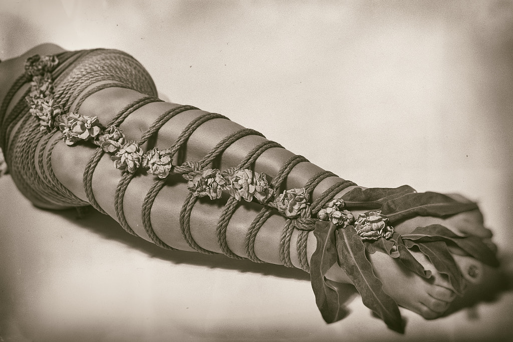 B/W Shibari Art with Flowers by Nadiia Volkova on 500px.com