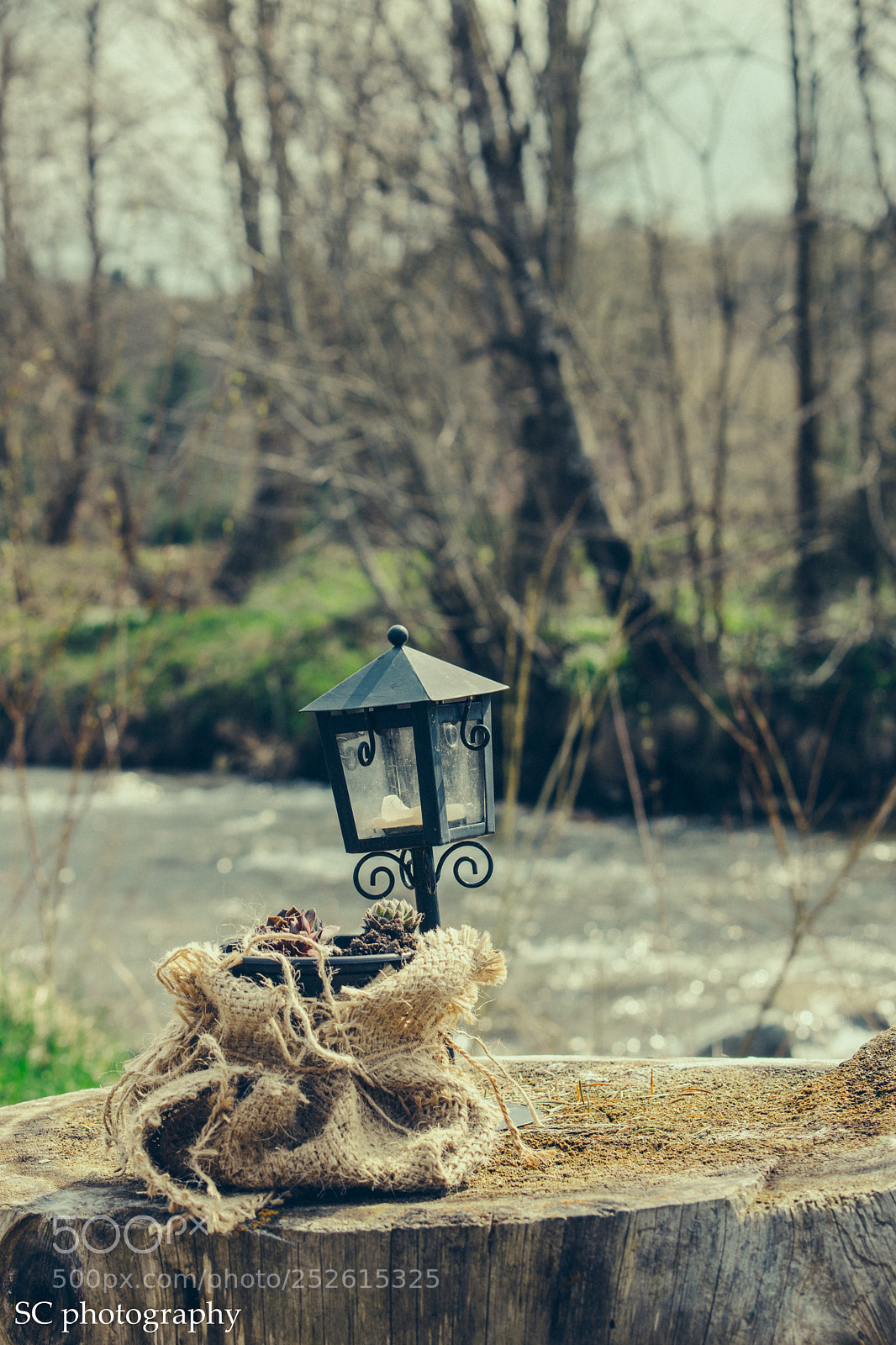 Nikon D3300 sample photo. Untitled photography