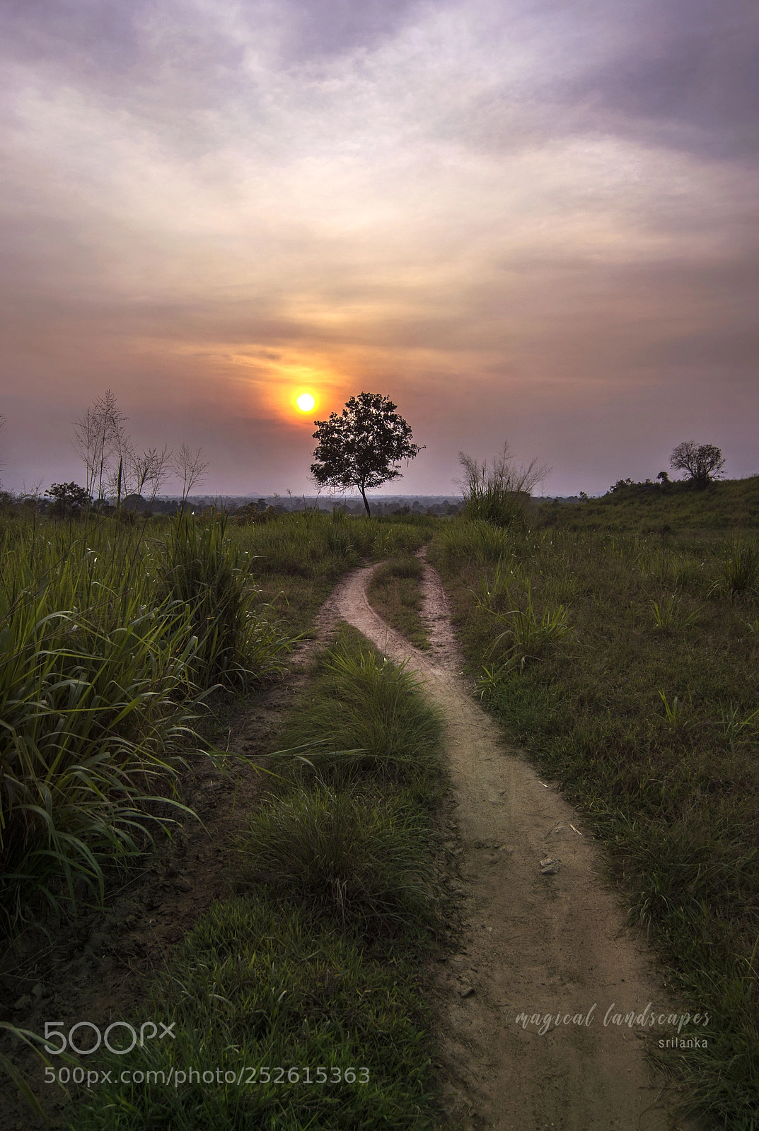 Nikon D7100 sample photo. Path to heaven photography