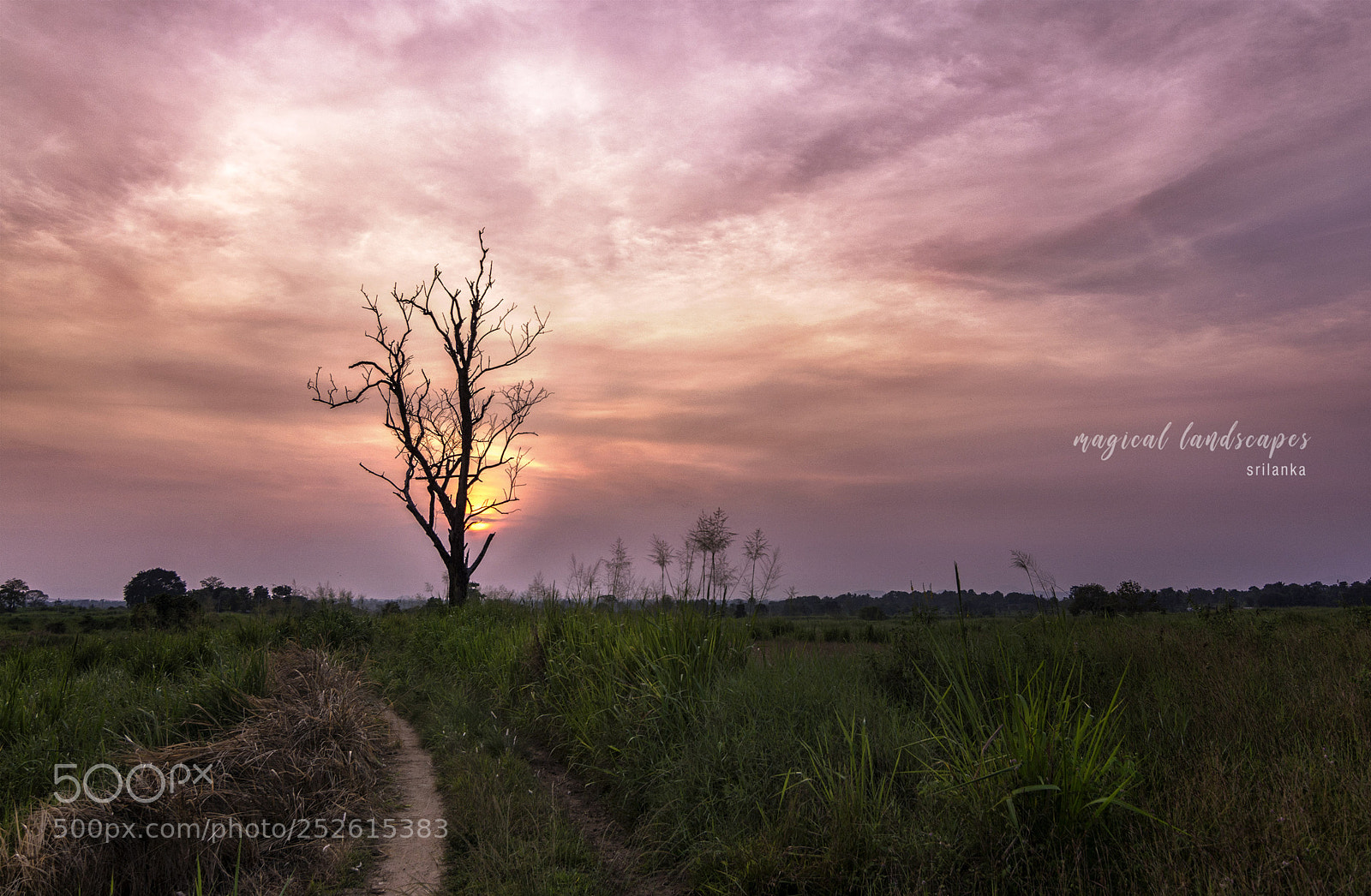 Nikon D7100 sample photo. Magical sunsets photography