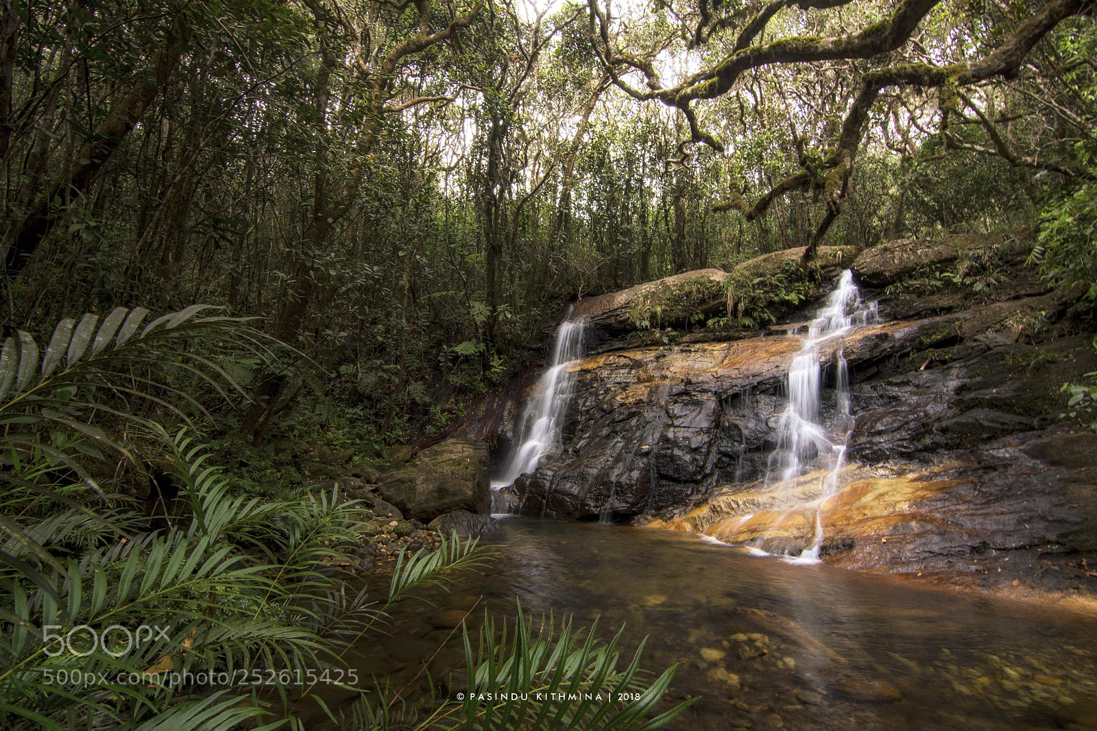 Nikon D7100 sample photo. Wilderness beauty photography