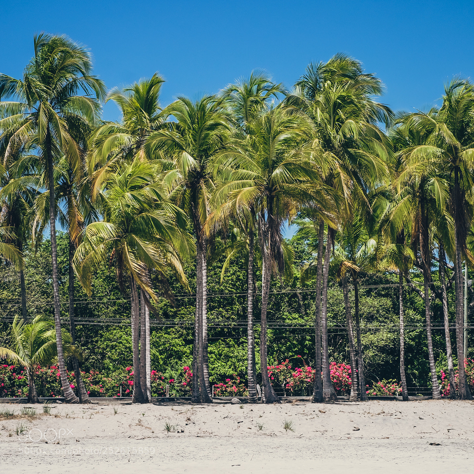 Fujifilm X-T10 sample photo. Costa rica beach near photography