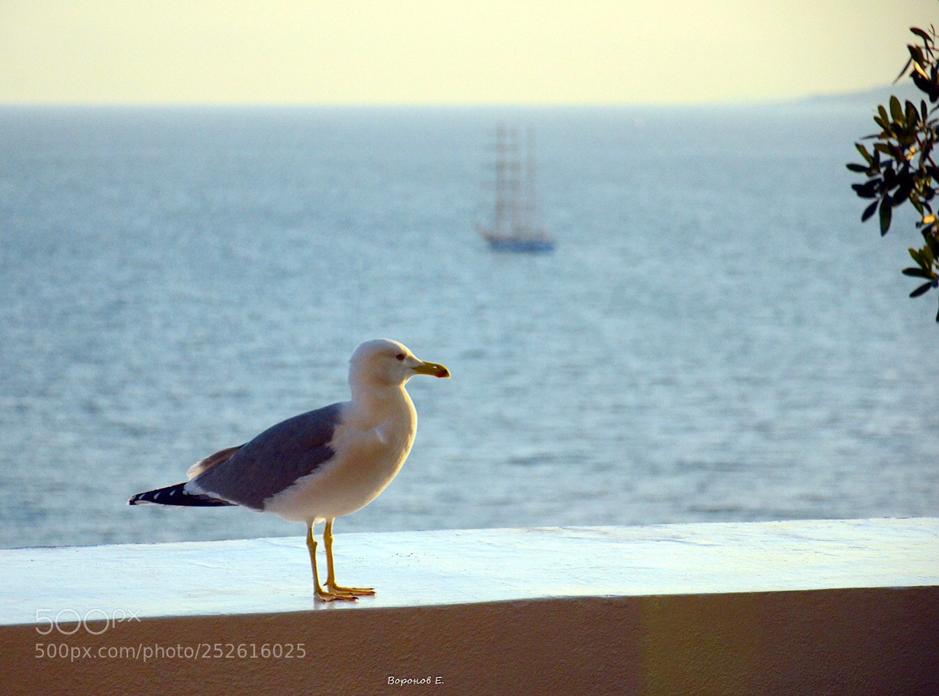 Nikon D7000 sample photo. Untitled photography