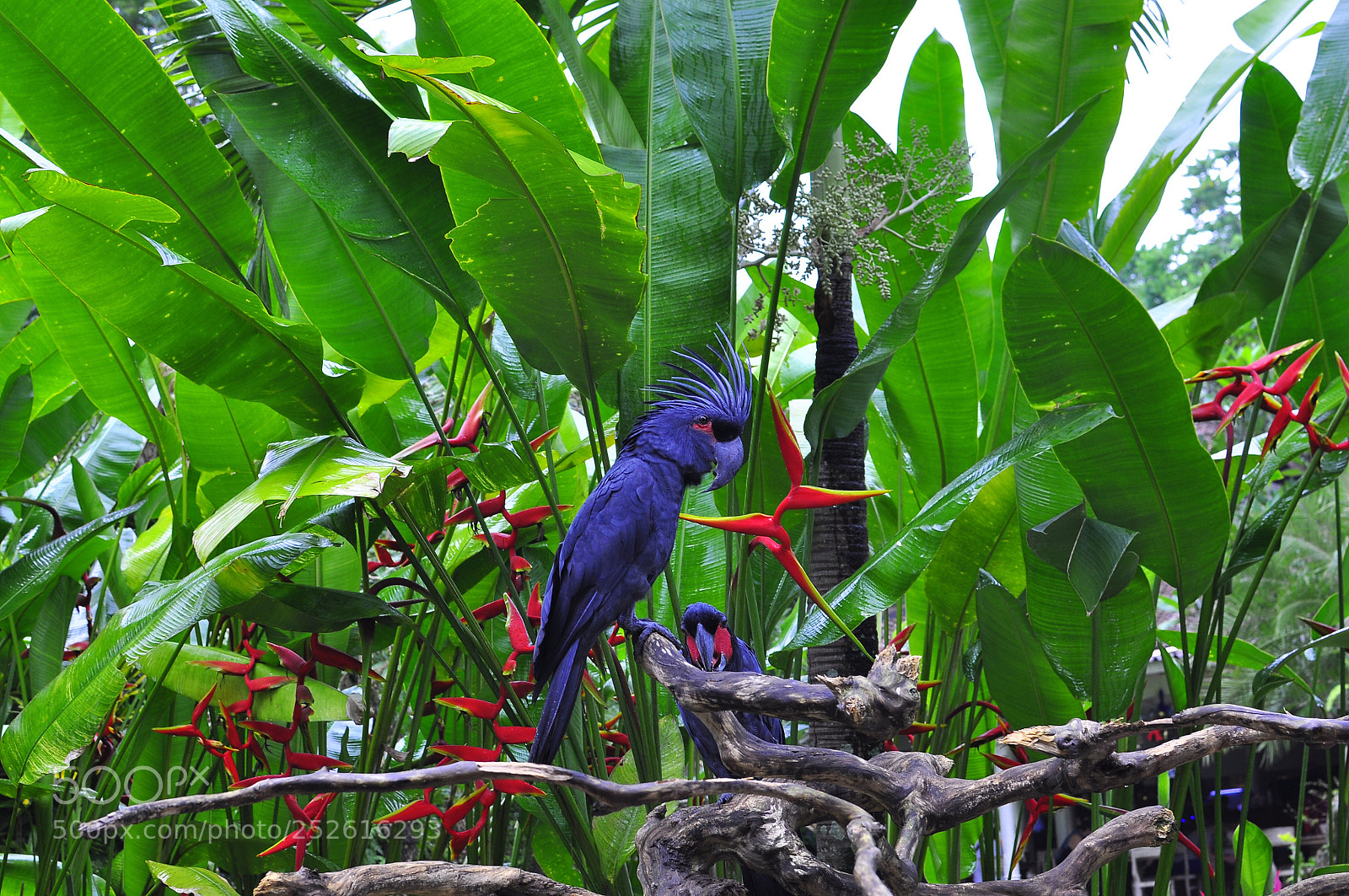 Nikon D90 sample photo. Untitled photography
