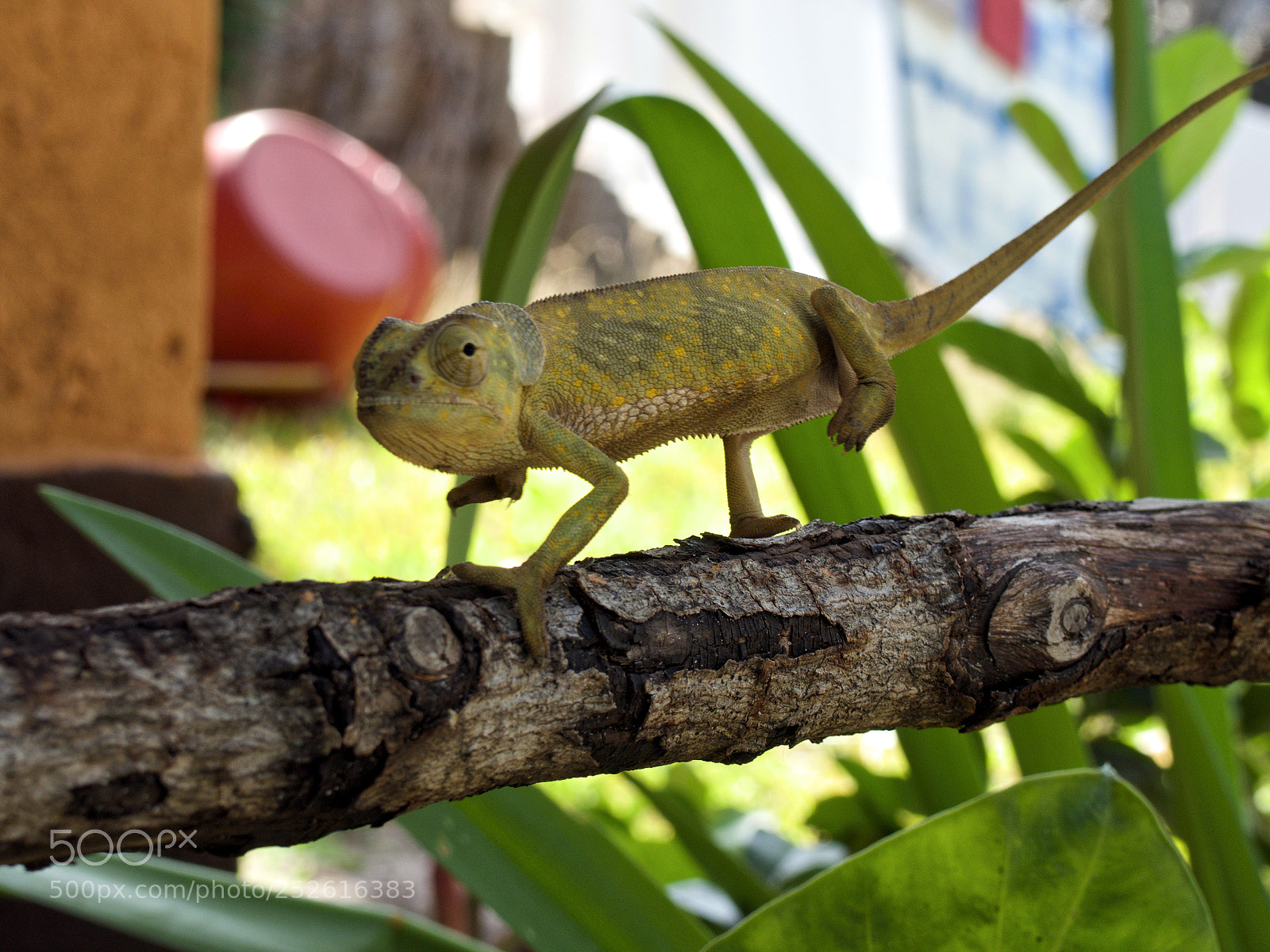 Olympus OM-D E-M10 II sample photo. Should i stay or photography