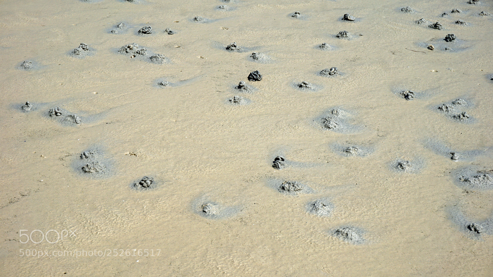 Sony a6000 sample photo. Koh rong samloem beach photography