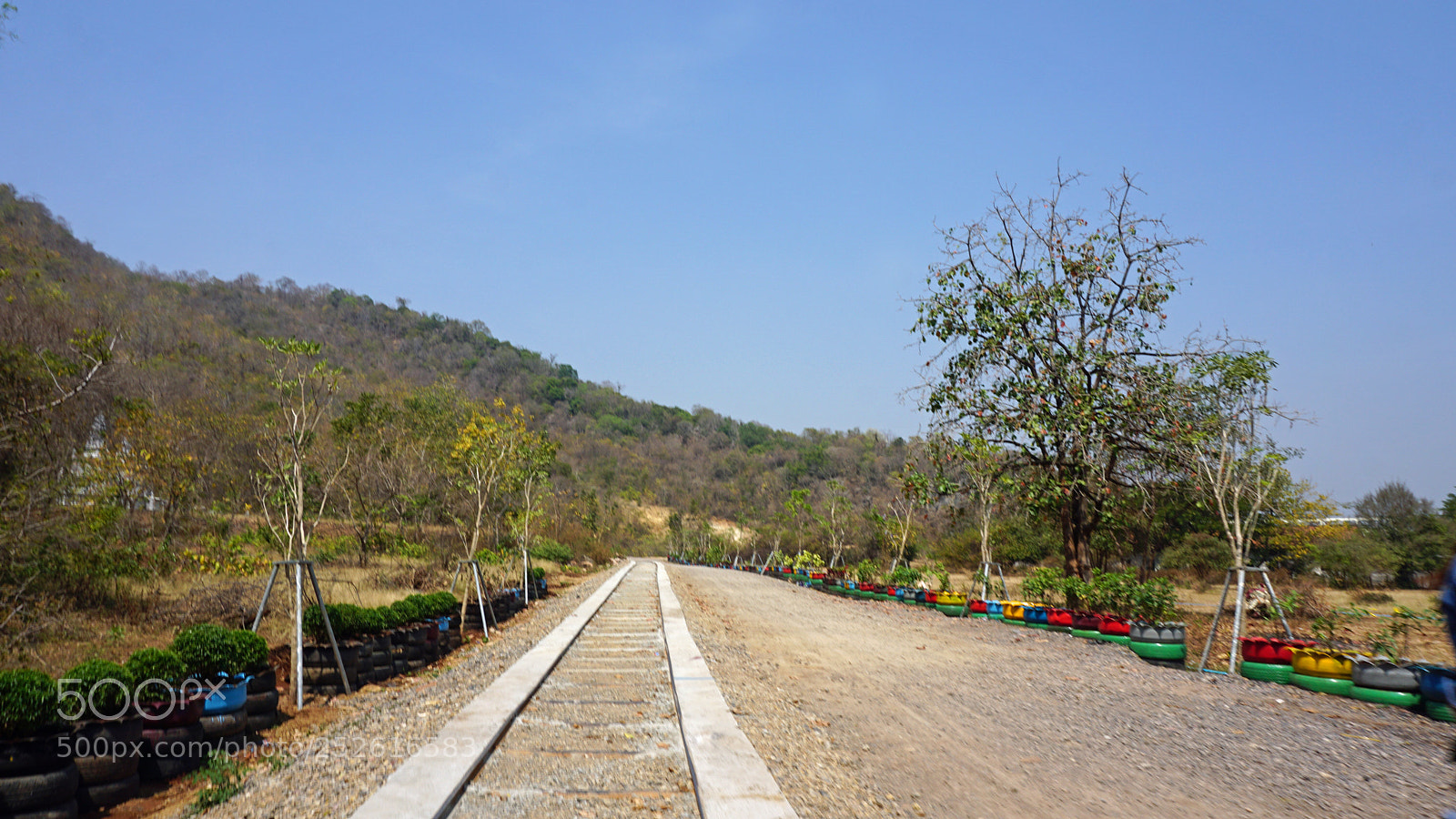 Sony a6000 sample photo. Battambang bamboo train photography