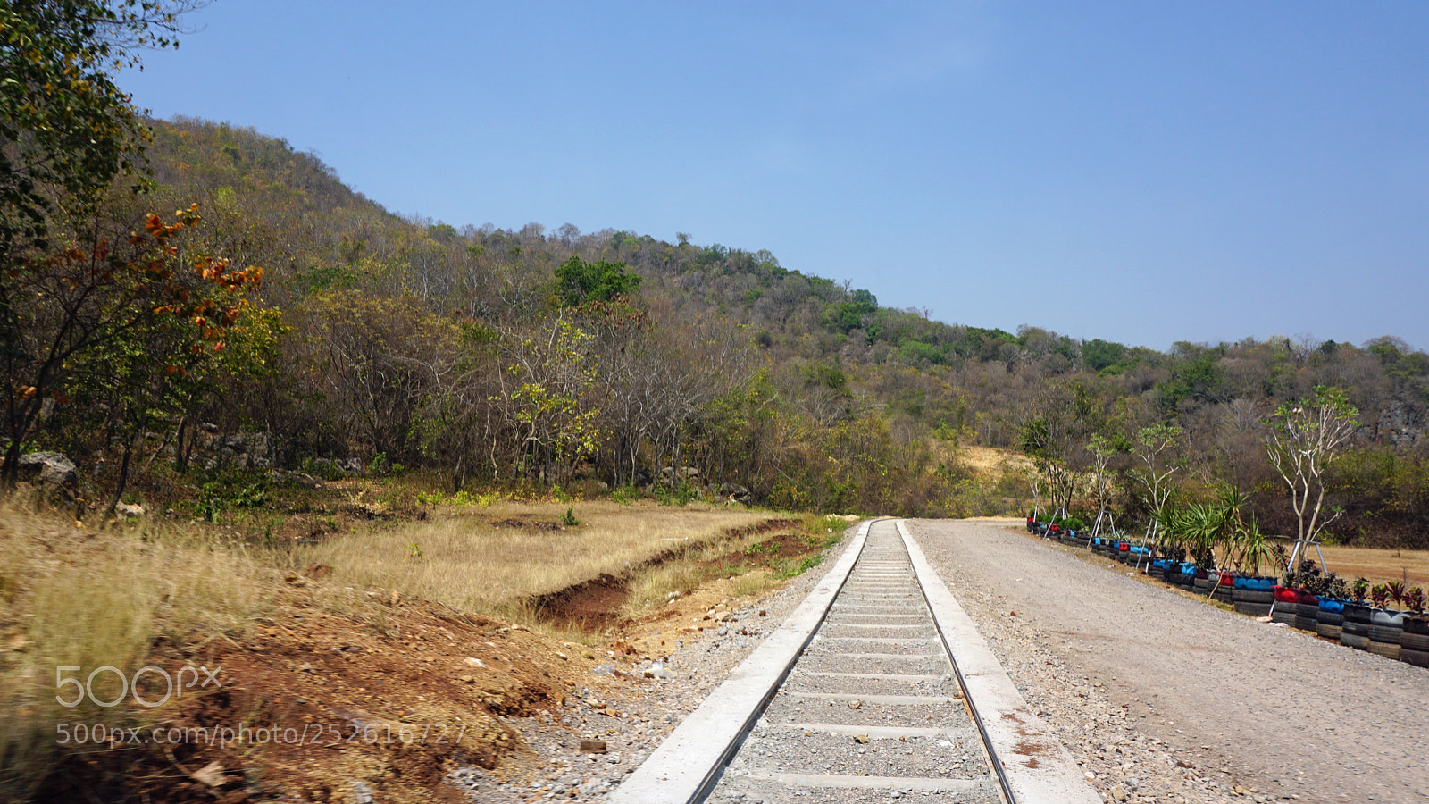 Sony a6000 sample photo. Battambang bamboo train photography