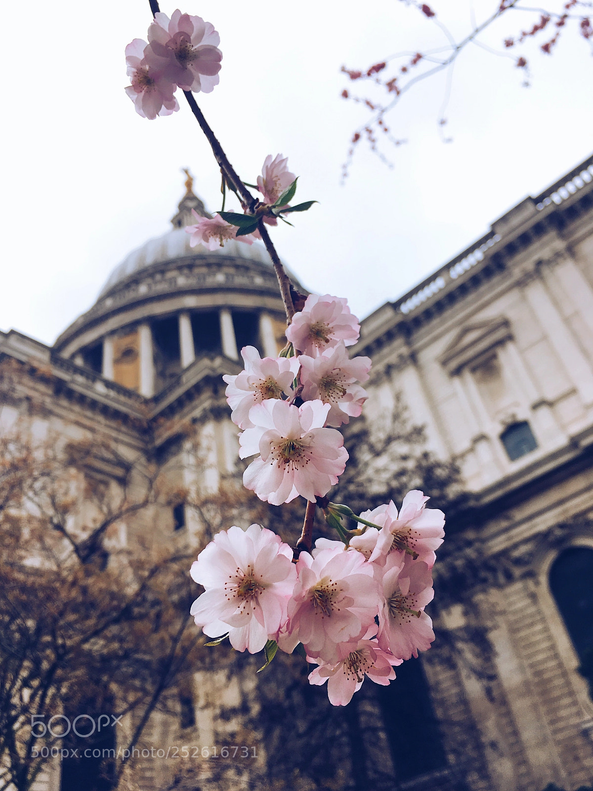 Apple iPhone SE sample photo. St pauls photography