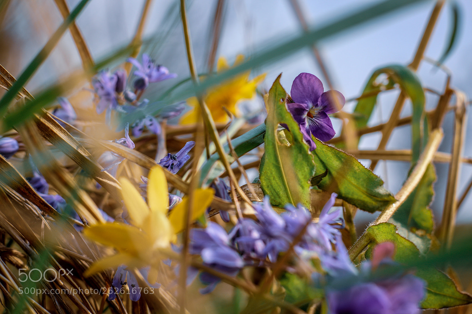 Canon EOS 70D sample photo. Untitled photography