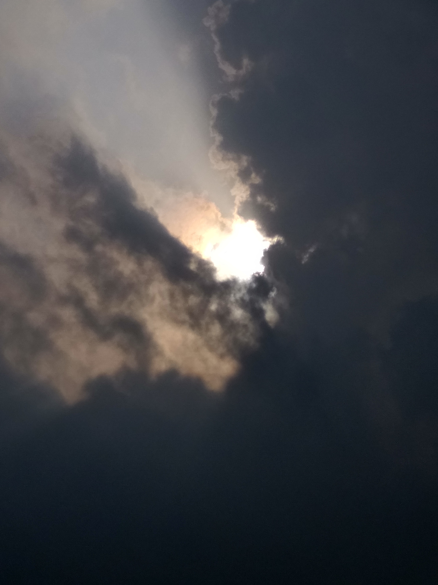 Xiaomi MI MAX sample photo. Peeking photography