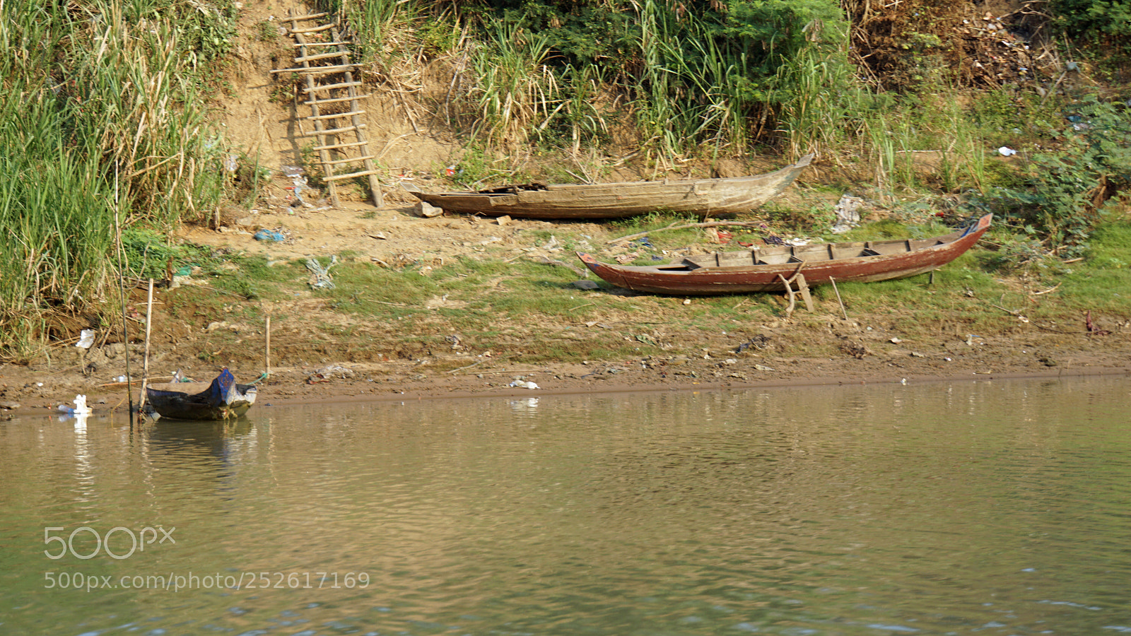 Sony a6000 sample photo. Wild tonle sap photography