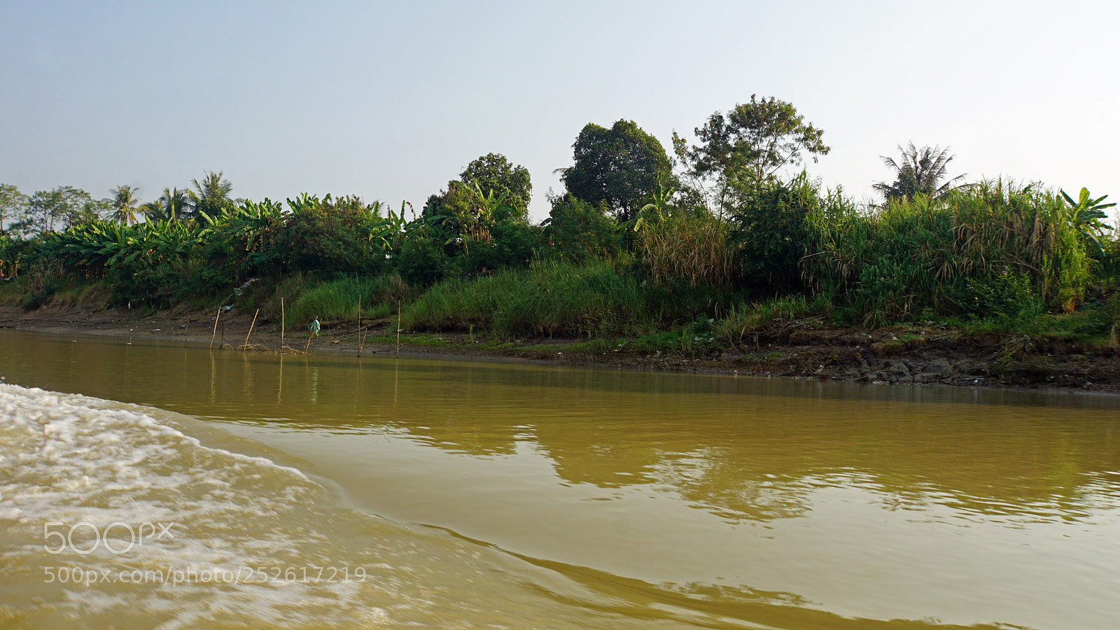 Sony a6000 sample photo. Wild tonle sap photography
