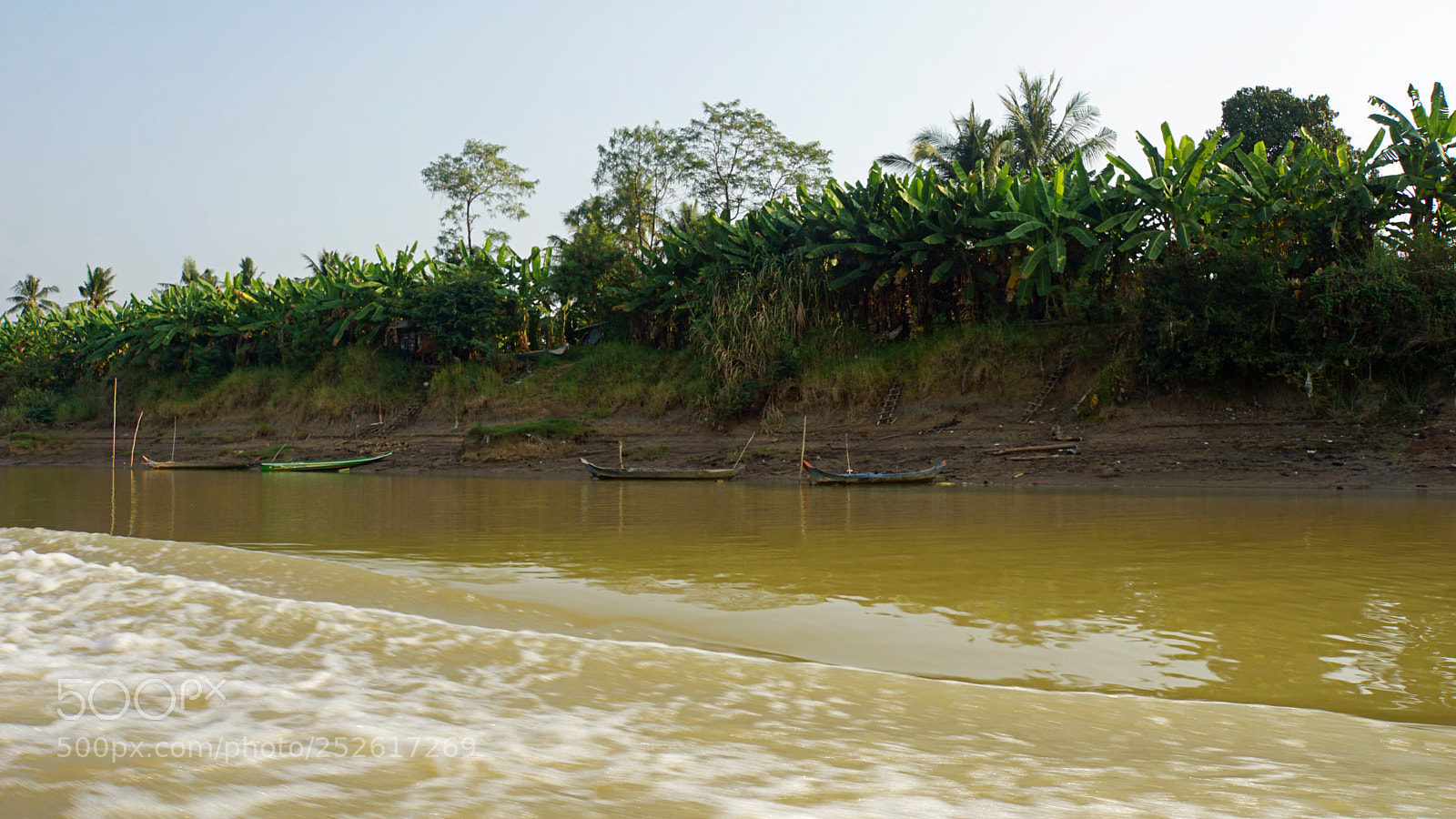 Sony a6000 sample photo. Wild tonle sap photography