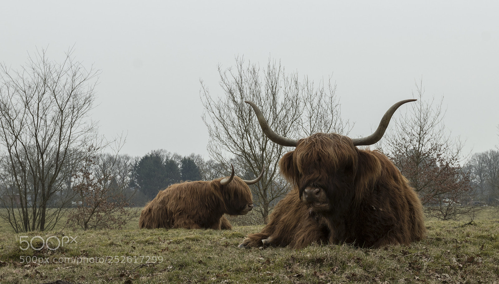 Canon EOS 80D sample photo. Voorjaar 03 photography