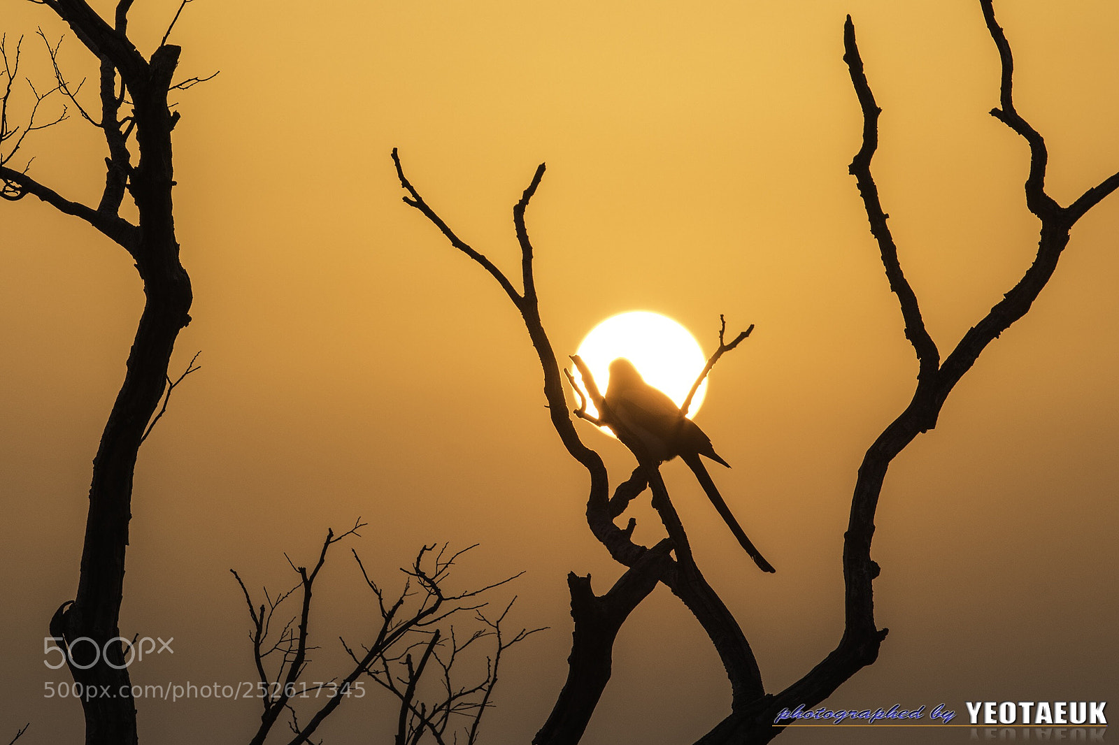 Canon EOS 80D sample photo. Sun rise photography