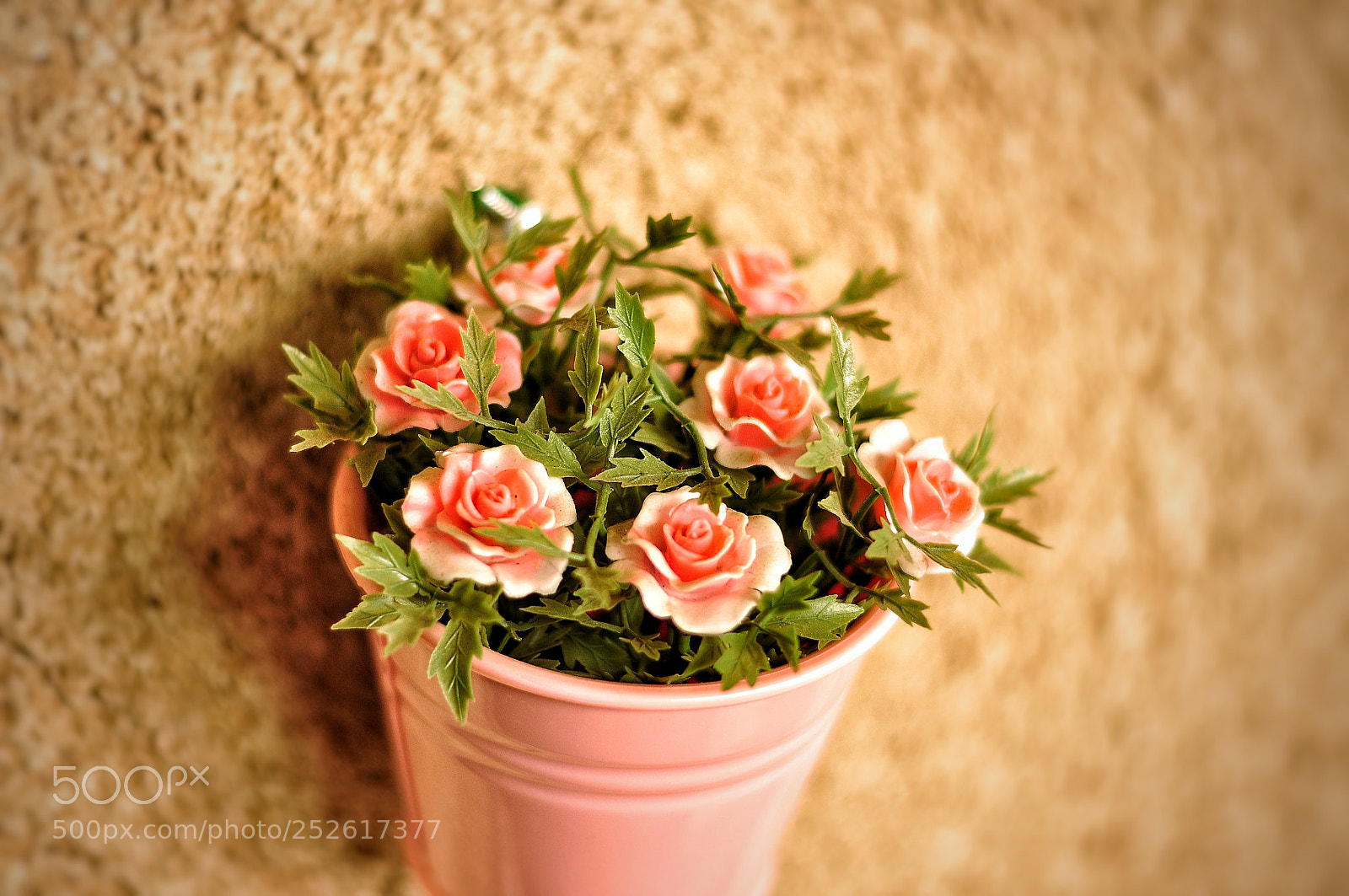 Nikon D90 sample photo. Untitled photography
